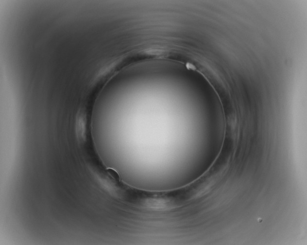 X0000115340404200911091309