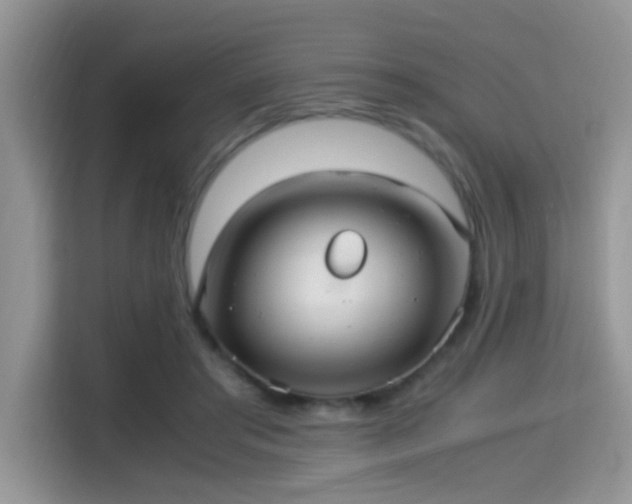 X0000115340405200911091309