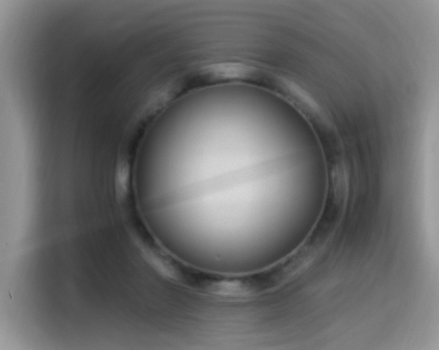 X0000115340406200911091309