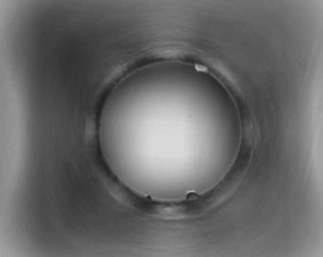 X0000115340407200911091309