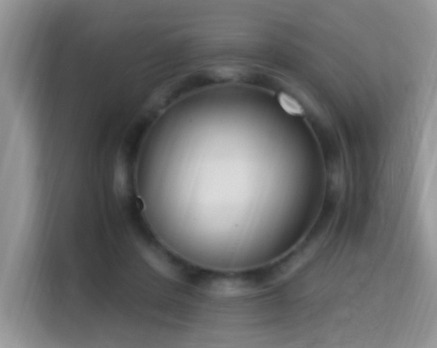 X0000115340408200911091309