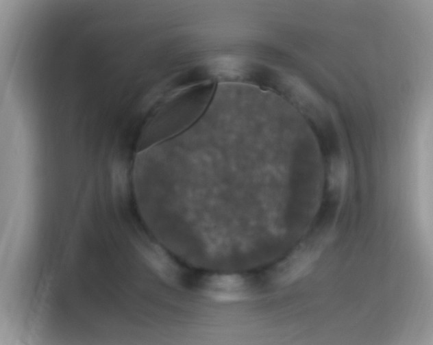 X0000115340409200911091309
