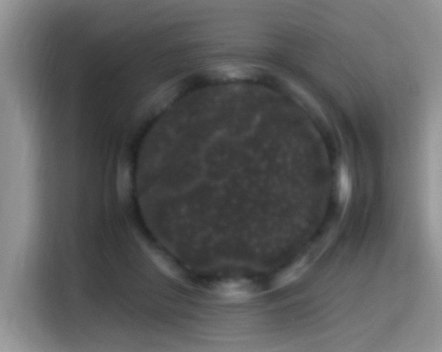 X0000115340410200911091309