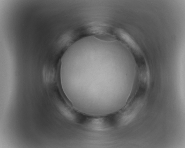 X0000115340411200911091309