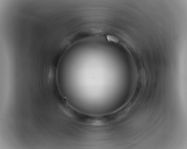 X0000115340412200911091309