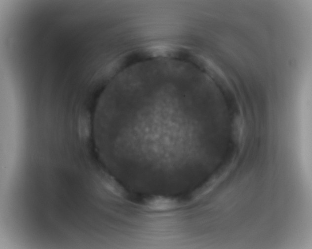 X0000115340413200911091309