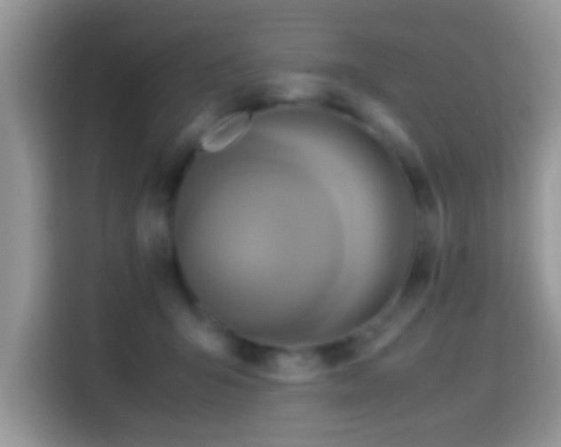 X0000115340415200911091309