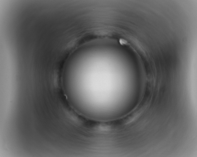X0000115340416200911091309