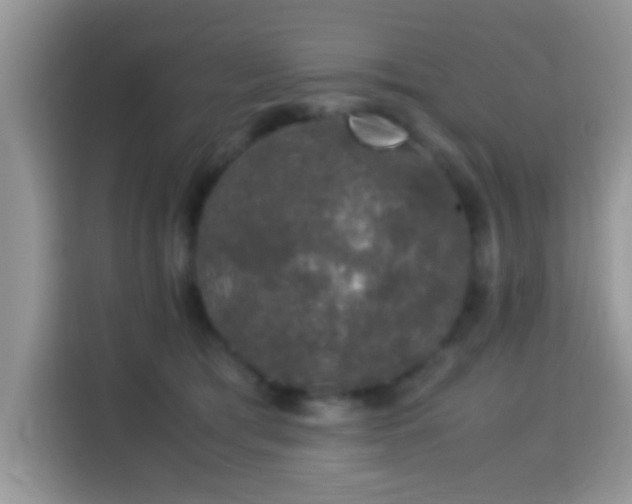 X0000115340417200911091309