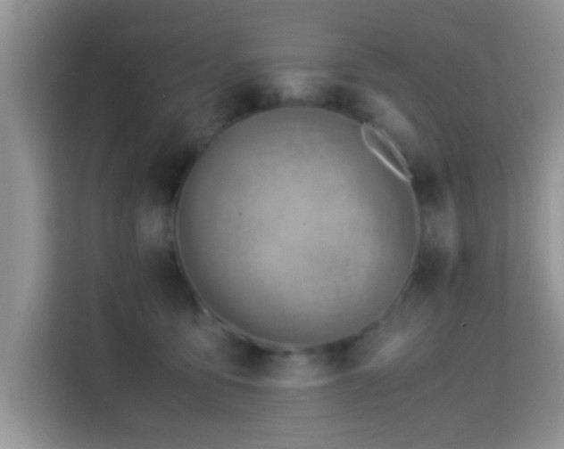 X0000115340419200911091309
