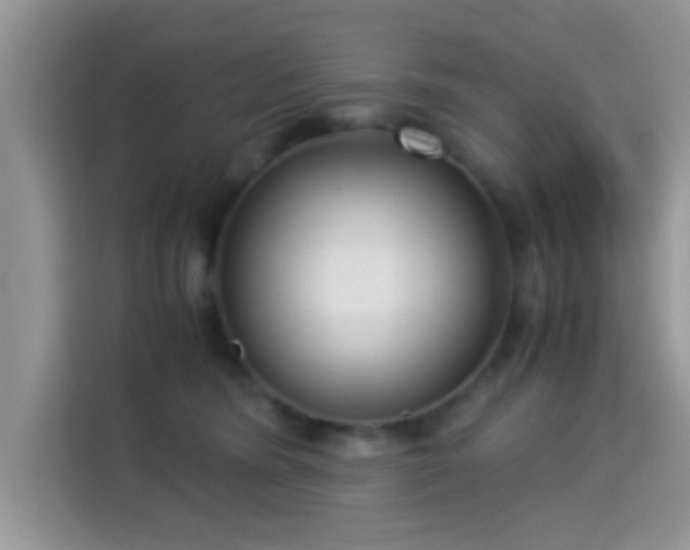 X0000115340420200911091309