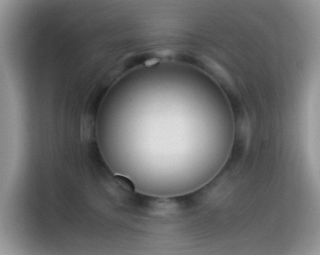 X0000115340421200911091309