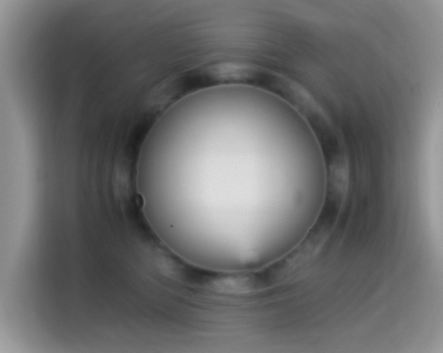 X0000115340422200911091309