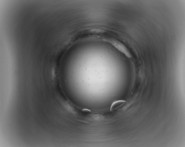 X0000115340424200911091309