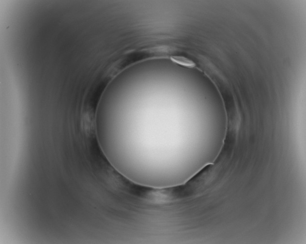 X0000115340425200911091309