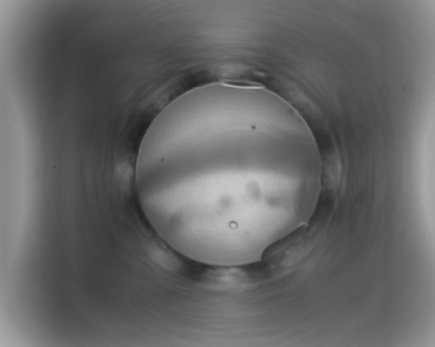 X0000115340427200911091309
