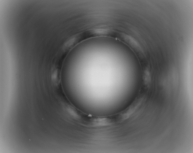 X0000115340428200911091309