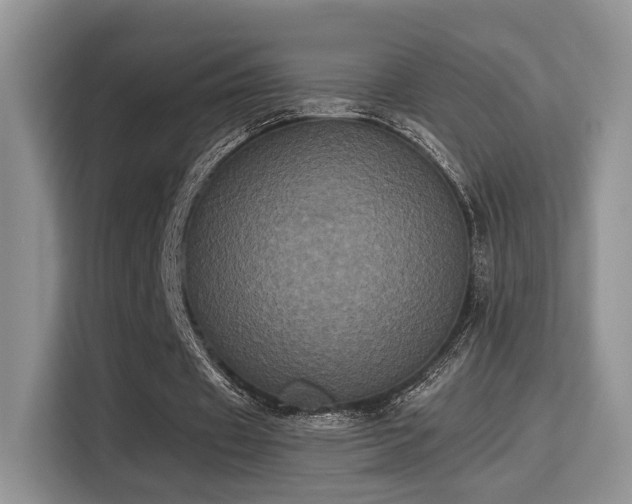 X0000115340433200911091308