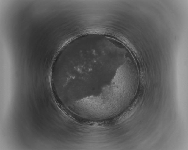 X0000115340434200911091308