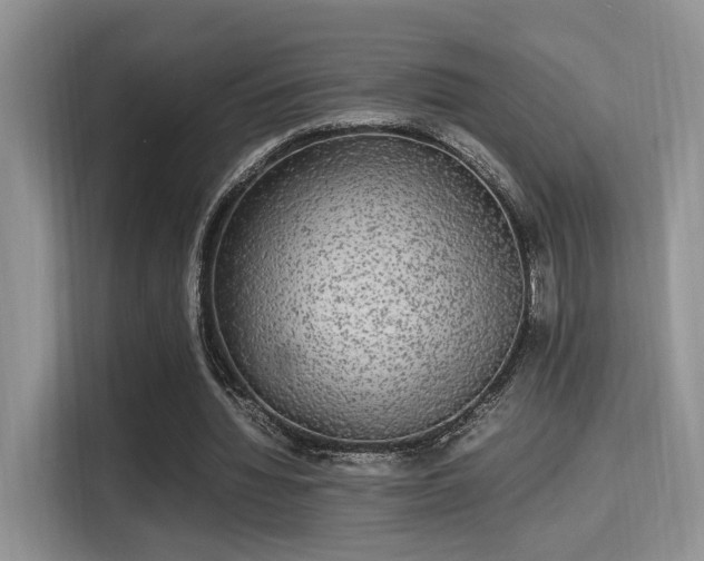 X0000115340436200911091308