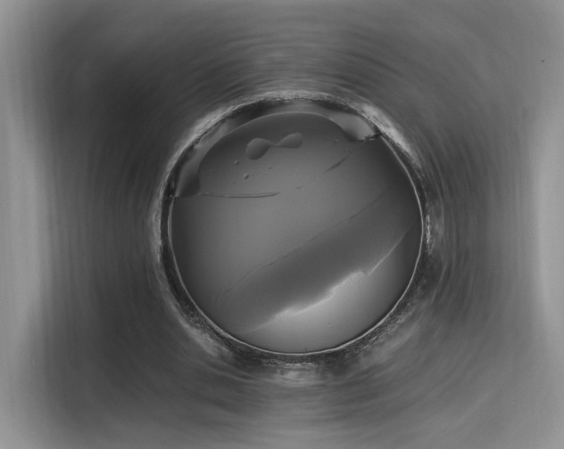X0000115340438200911091308