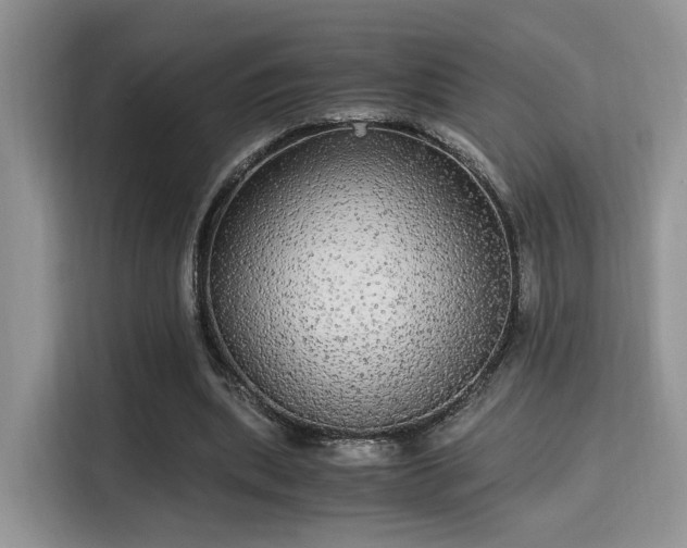 X0000115340439200911091308
