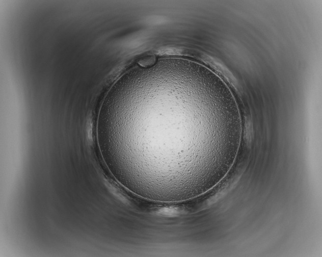X0000115340441200911091308