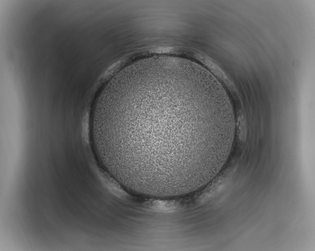 X0000115340442200911091308