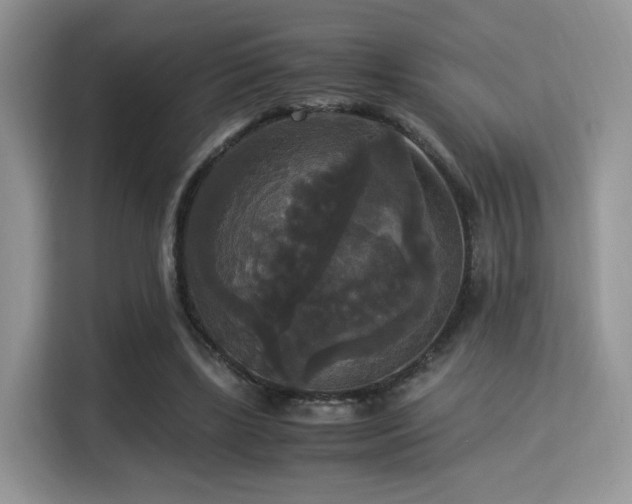 X0000115340443200911091308