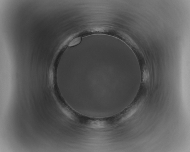 X0000115340444200911091308