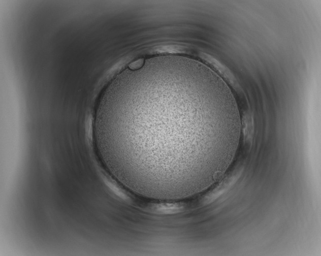 X0000115340445200911091308
