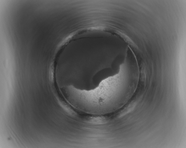X0000115340446200911091308