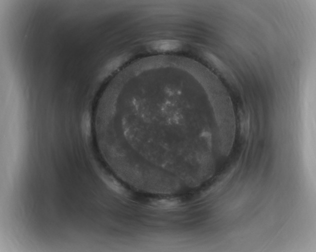 X0000115340447200911091308