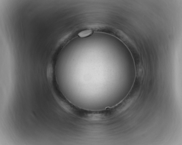 X0000115340448200911091308