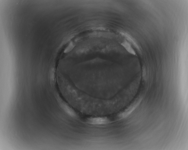 X0000115340449200911091308
