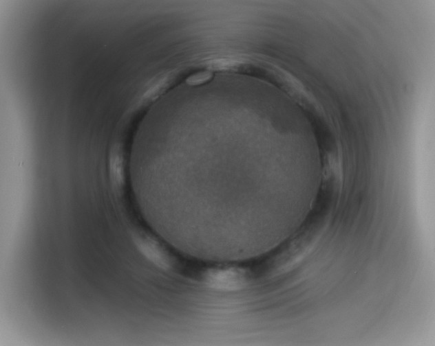 X0000115340452200911091308