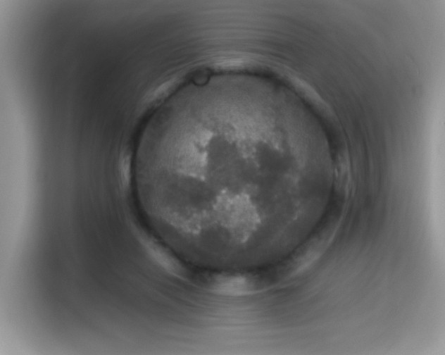 X0000115340454200911091308