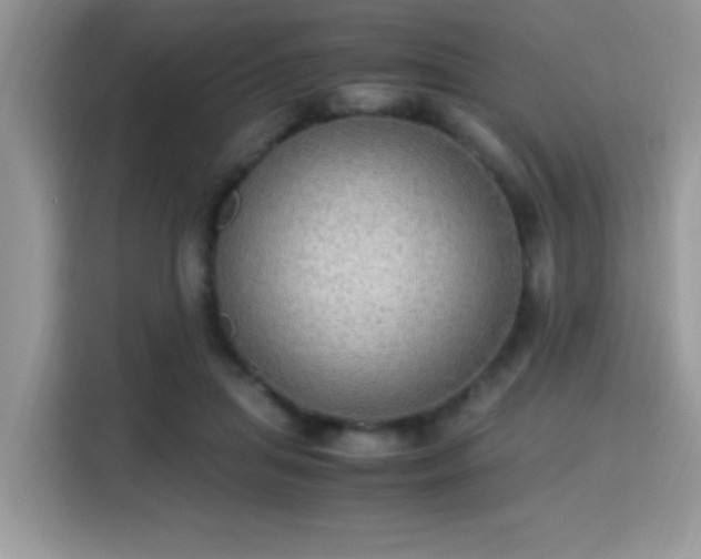 X0000115340455200911091308
