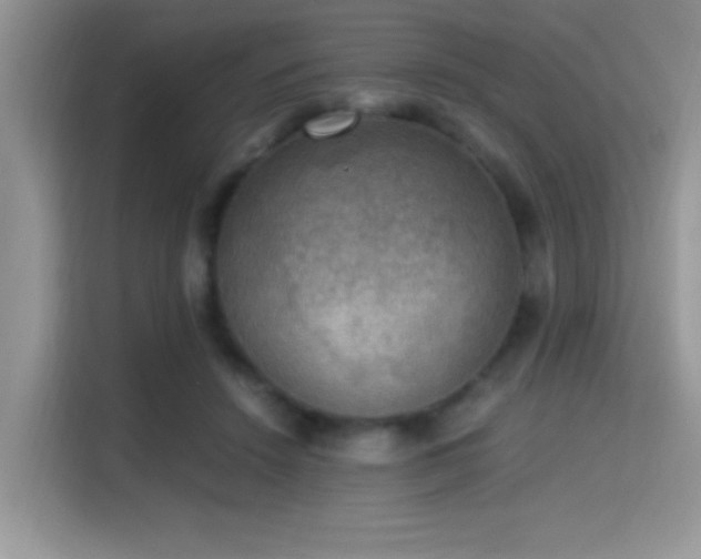 X0000115340456200911091308