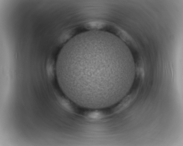 X0000115340460200911091308