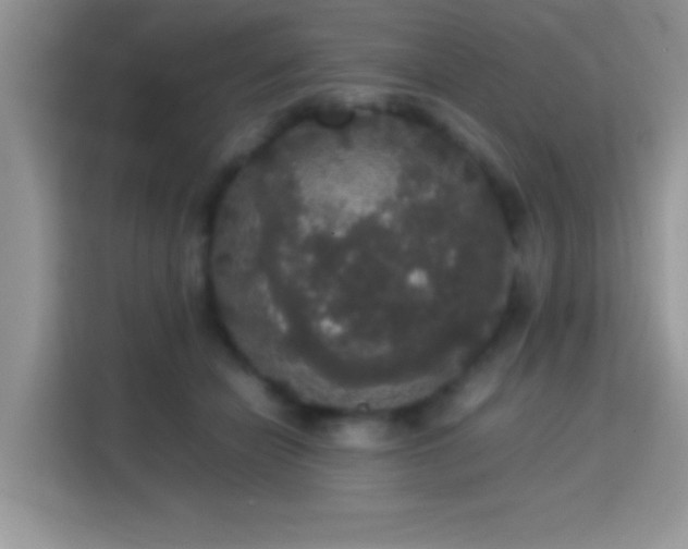 X0000115340462200911091308