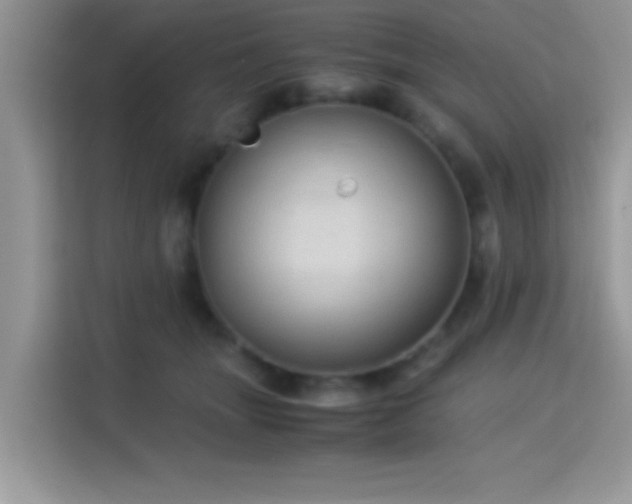 X0000115340463200911091308