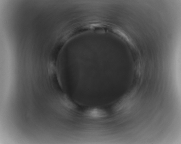 X0000115340467200911091308