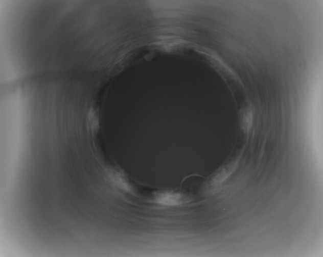 X0000115340471200911091309