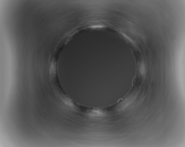 X0000115340475200911091309