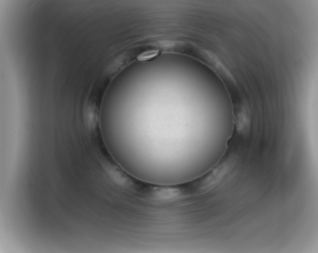 X0000115340476200911091309
