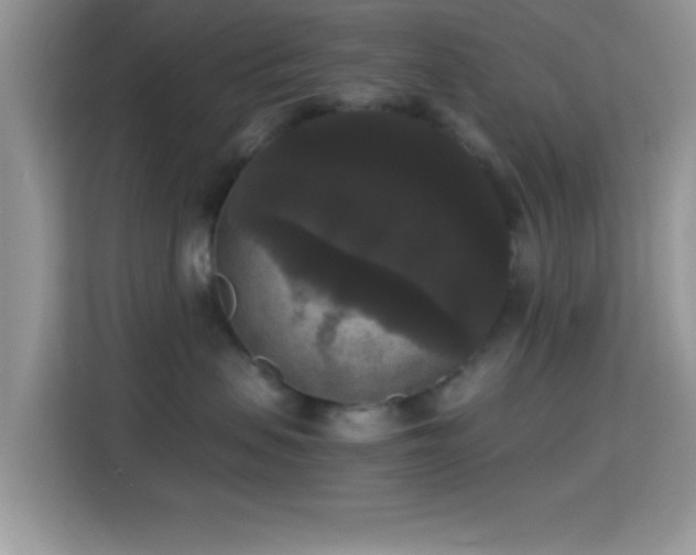 X0000115340479200911091309