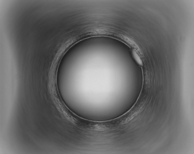 X0000115340481200911091308