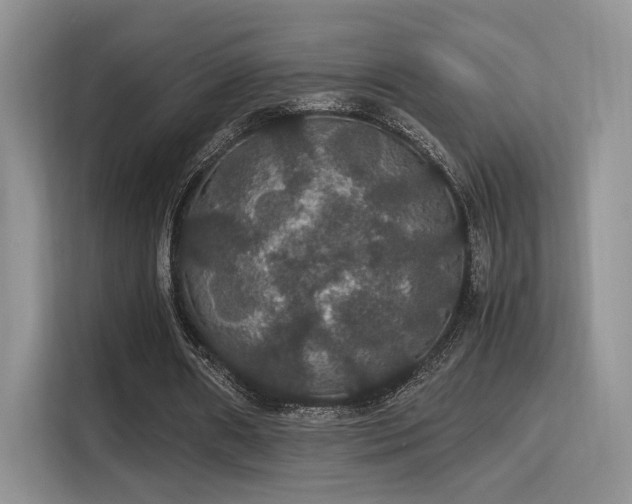 X0000115340482200911091308