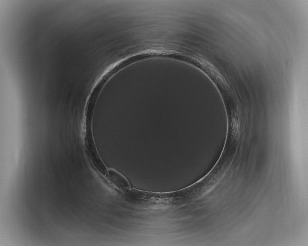 X0000115340484200911091308